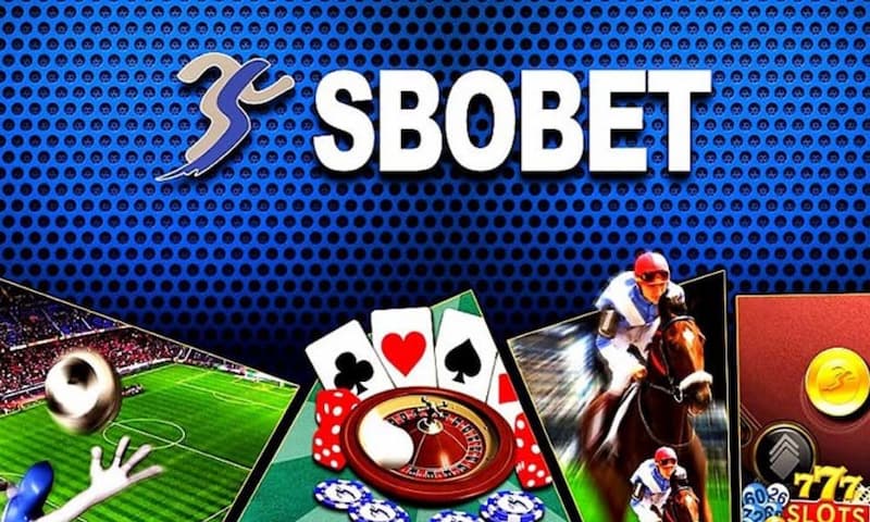 Sbobet Sân chơi thể thao trực tuyến hấp dẫn nhất hiện nay